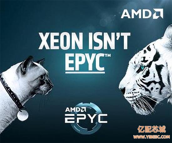 AMD广告挑衅Intel：是猫是虎拉出来遛遛